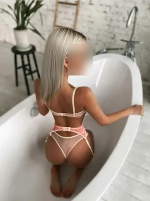 Kocica